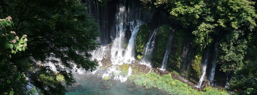 Working group for new issues about Chemical substances